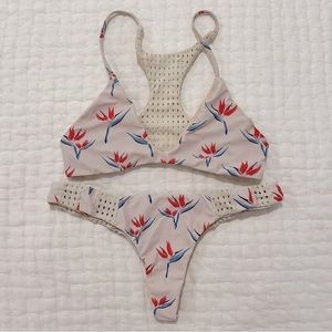 Acacia bird of paradise set M